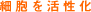 �}�C�i�X�C�I�����ɂ��זE�̊�����